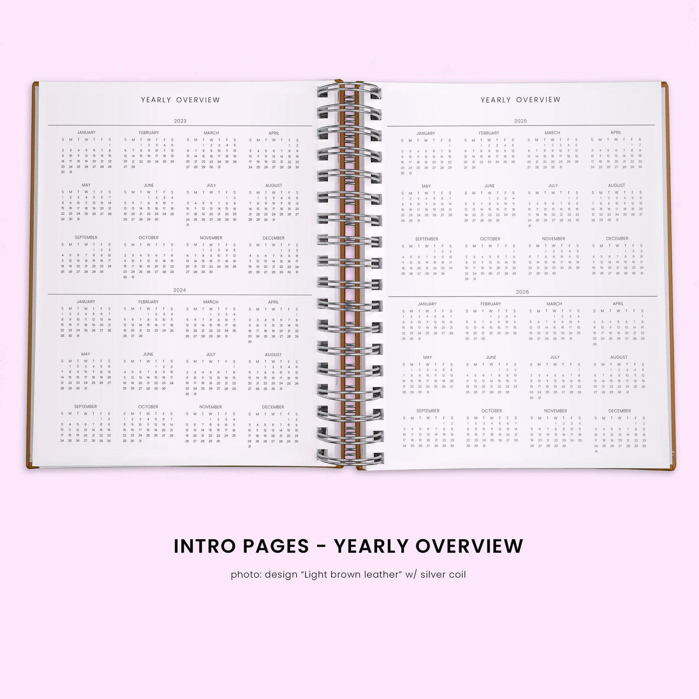 Daily Planner - Delphi