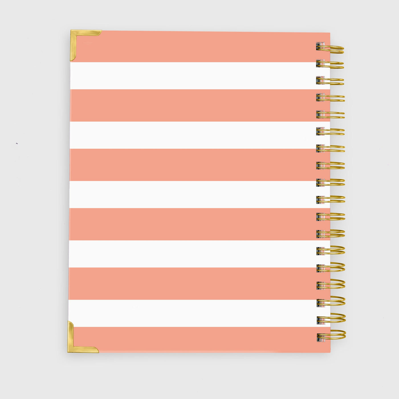 Notebook - Sue Peach