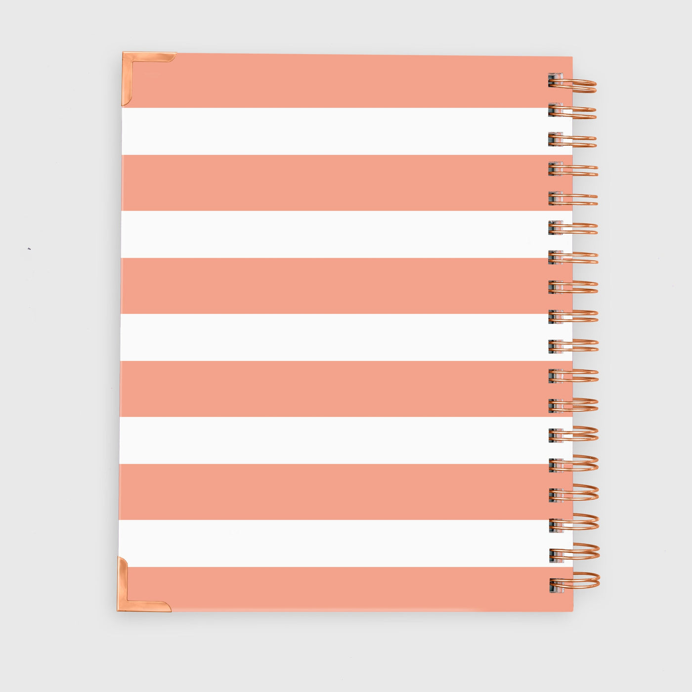 Notebook - Sue Peach