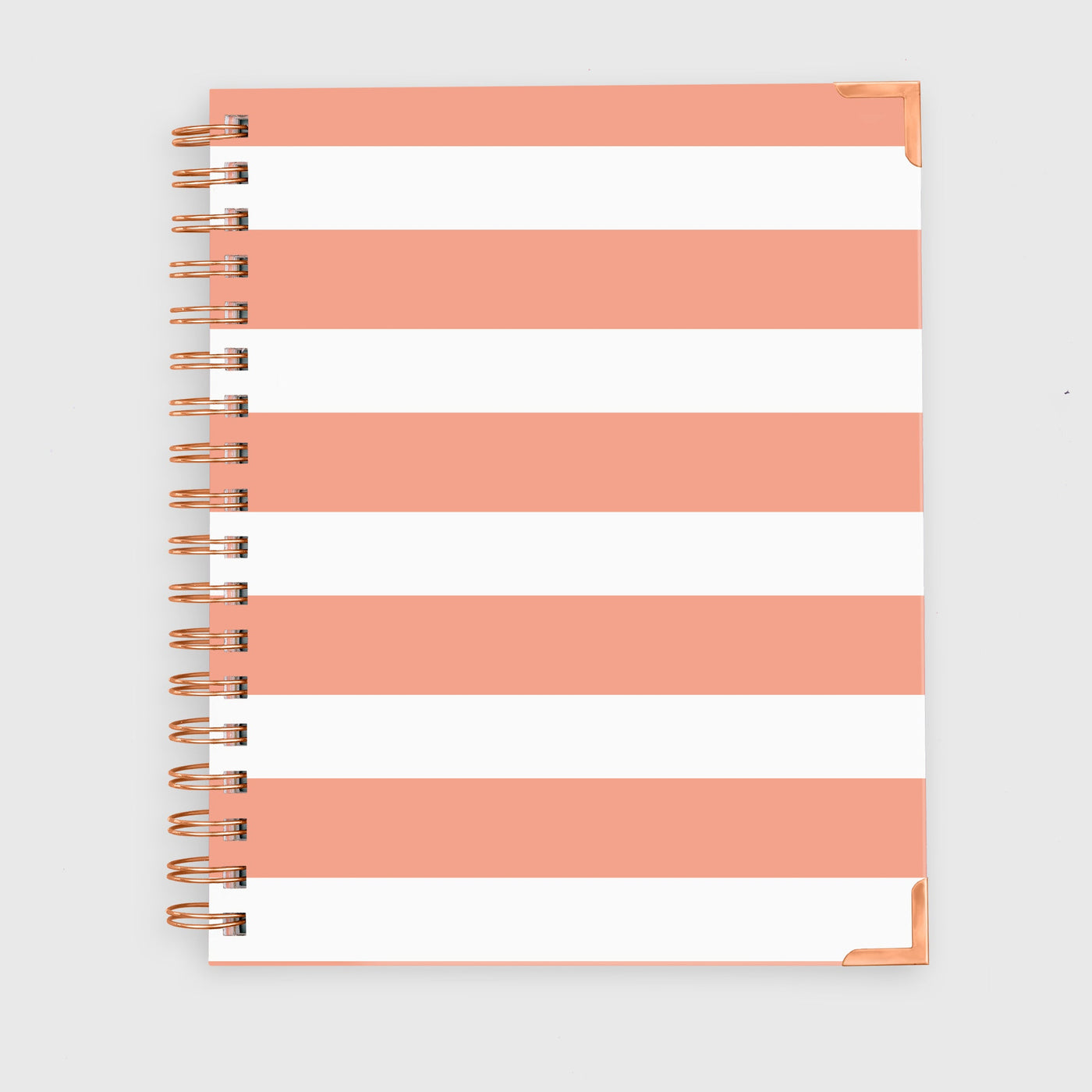 Notebook - Sue Peach